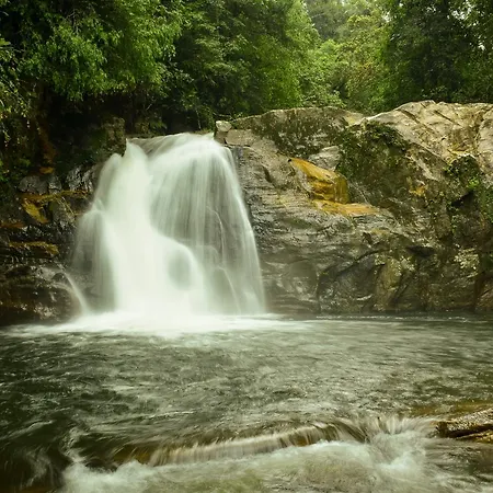 Sinharaja Forest Gate Deniyaya Exterior photo