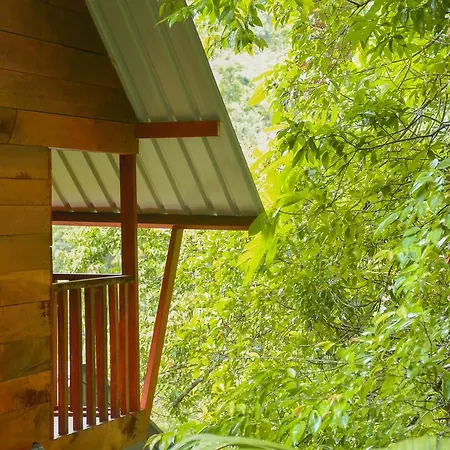 Sinharaja Forest Gate Deniyaya Exterior photo