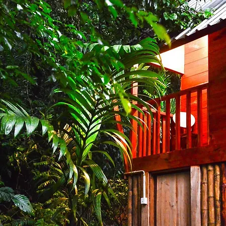 Sinharaja Forest Gate Deniyaya Exterior photo