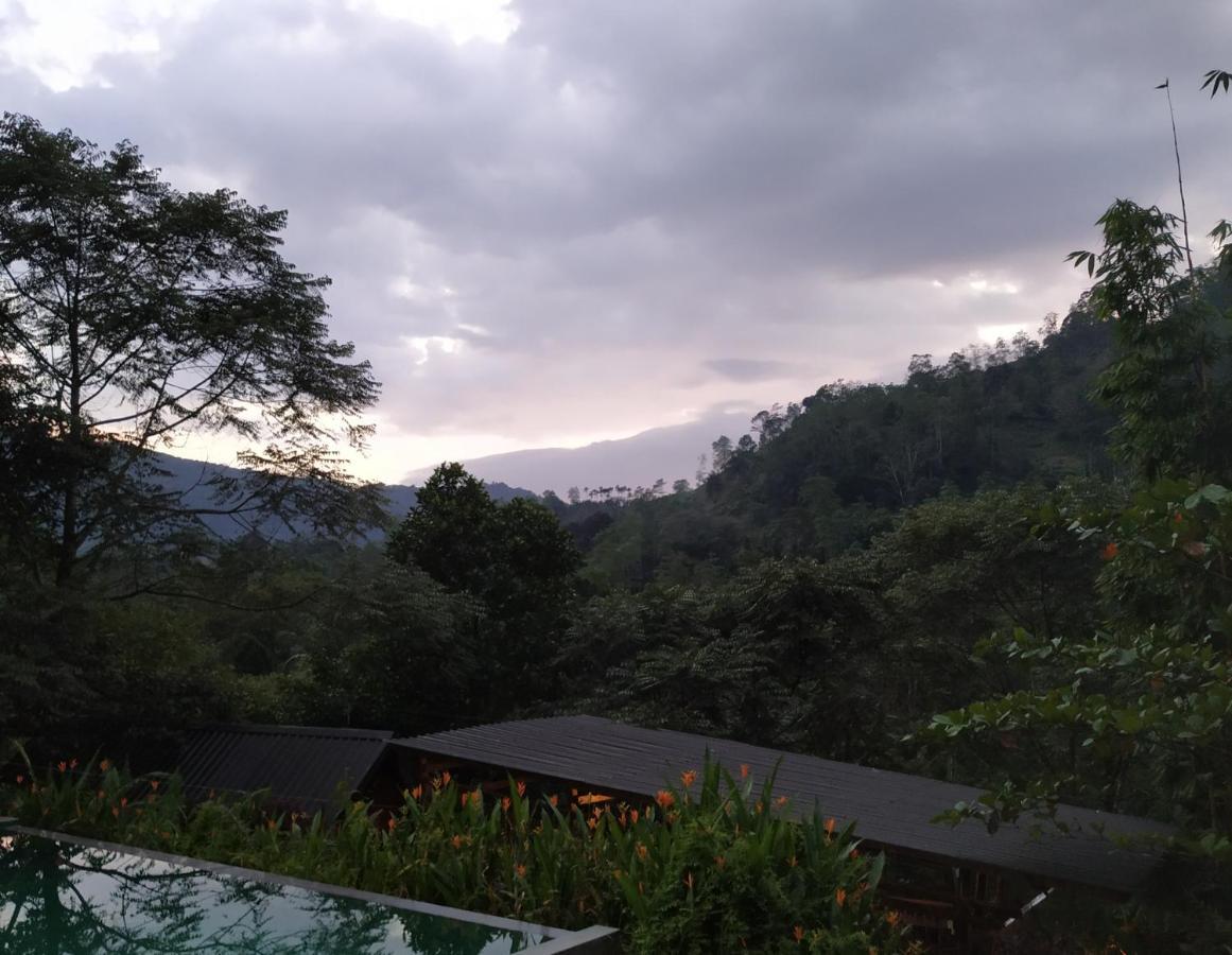 Sinharaja Forest Gate Hotel Deniyaya