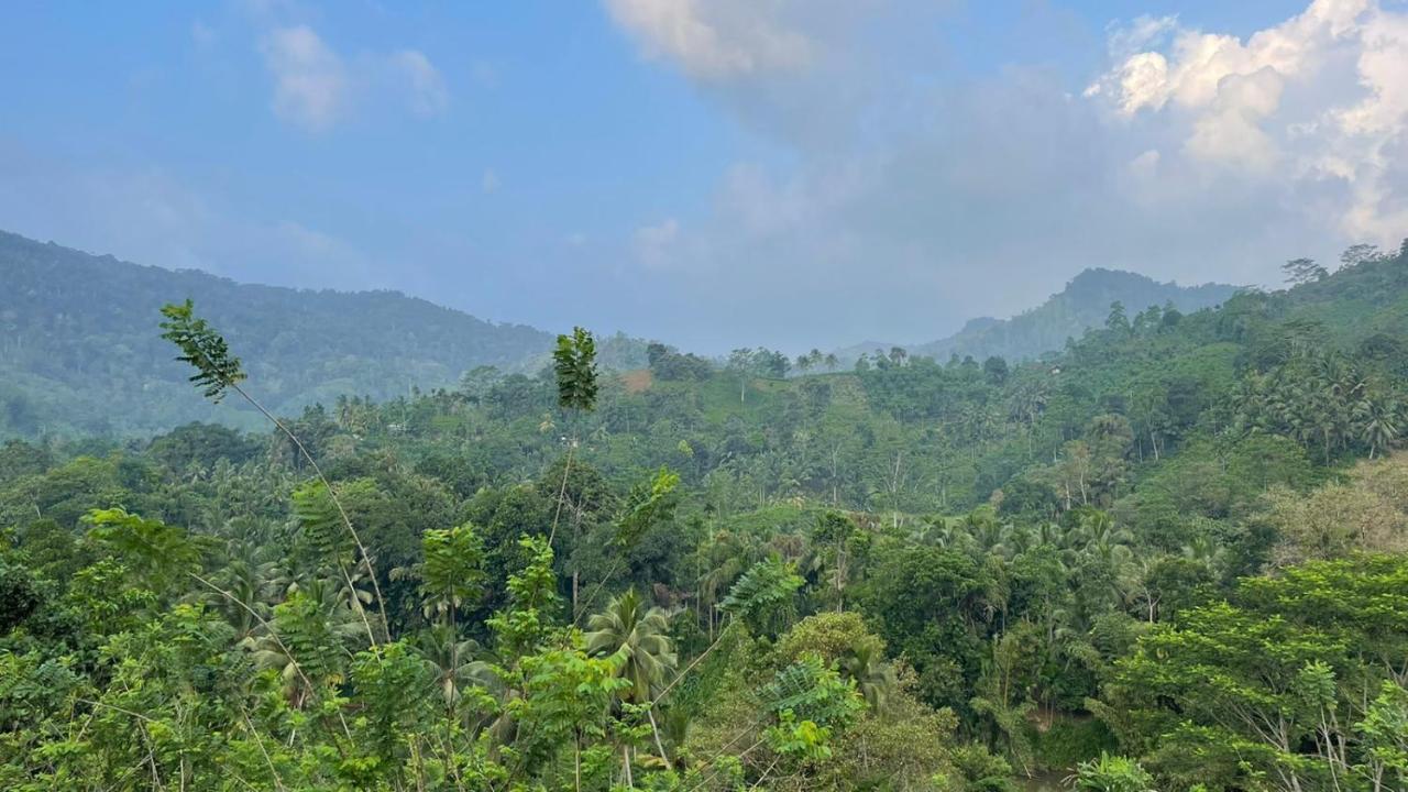 Hotel Sinharaja Forest Gate Deniyaya