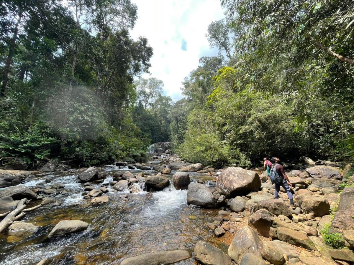 Sinharaja Forest Gate