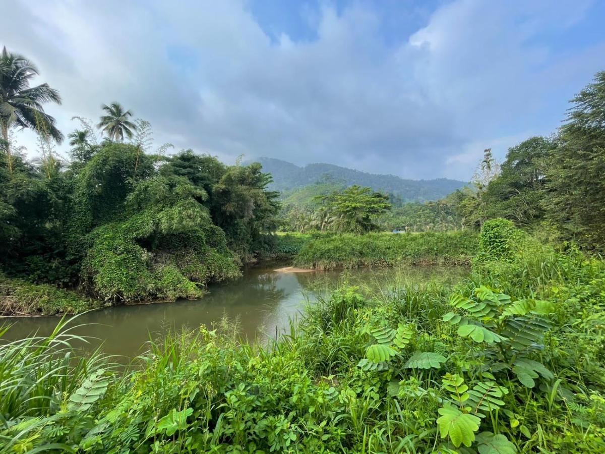 Sinharaja Forest Gate Deniyaya