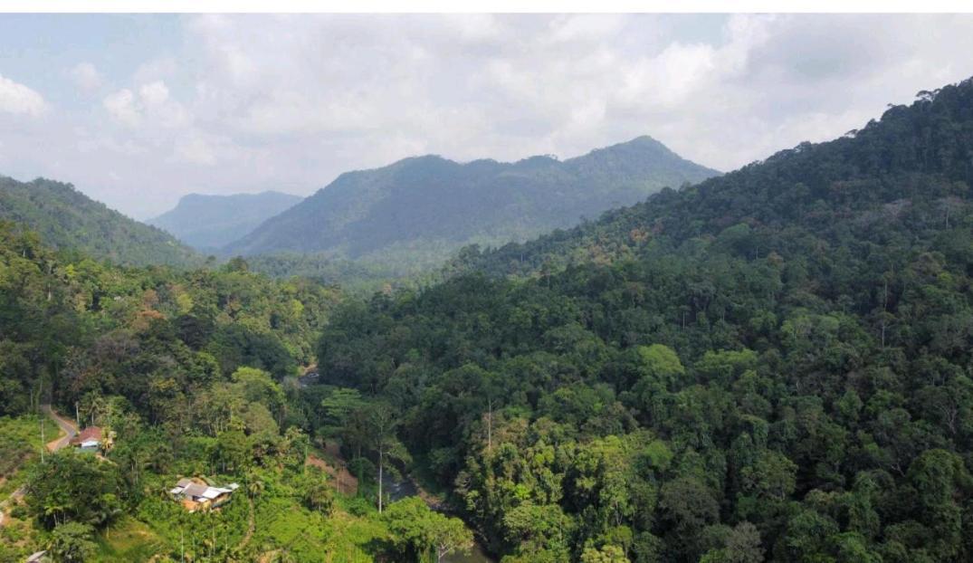 Sinharaja Forest Gate Hotel