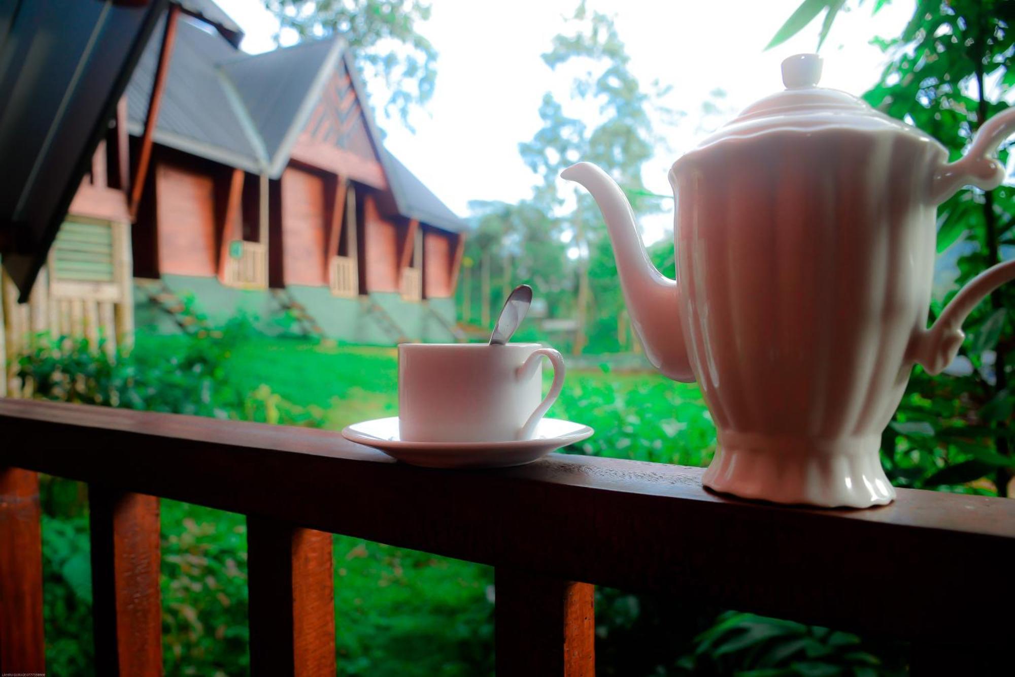 Hotel Sinharaja Forest Gate Deniyaya