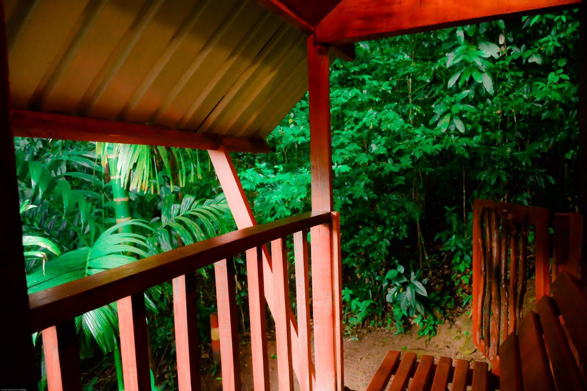 Sinharaja Forest Gate Hotel 3*