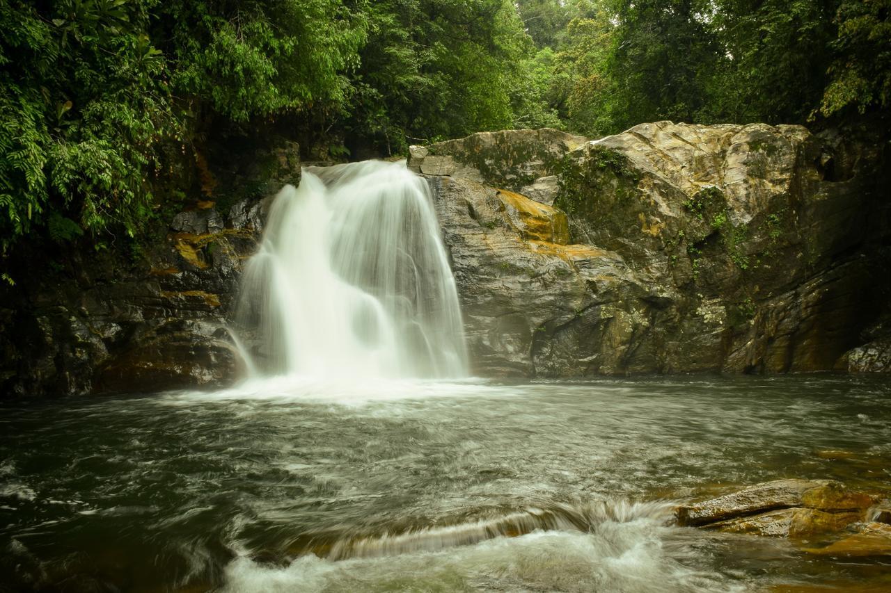 Sinharaja Forest Gate Hotel 3*