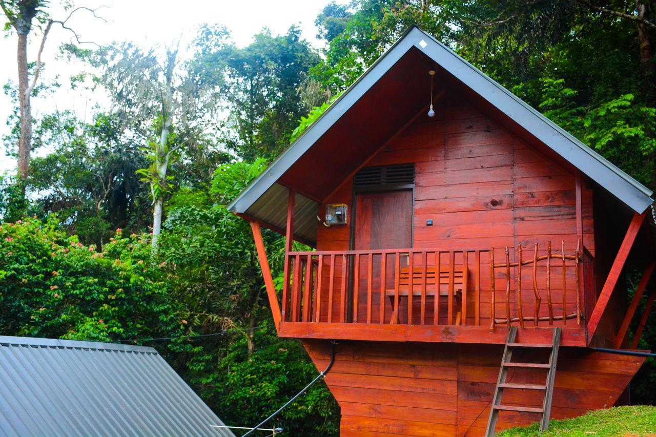 Hotel Sinharaja Forest Gate 3*